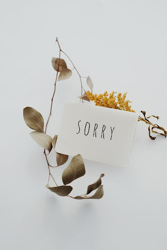 An Apology Letter