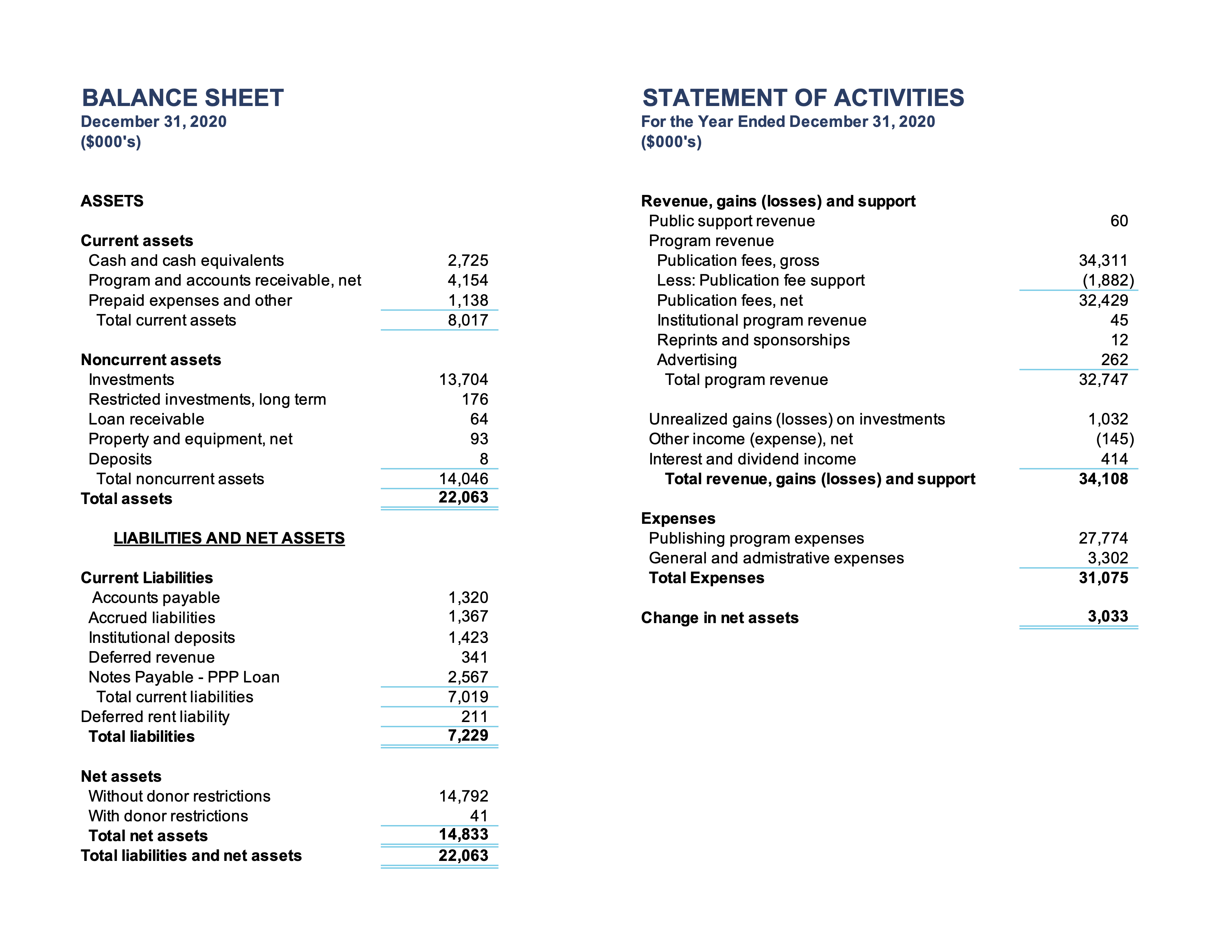 Financial Overview for 2020 including a breakdown of the Balance Sheet and Statement of Activities