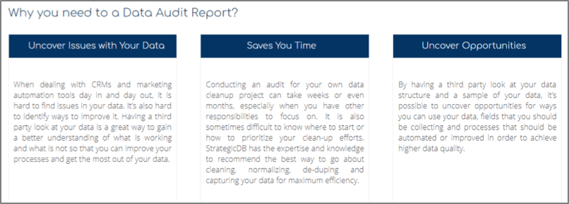 data audit report