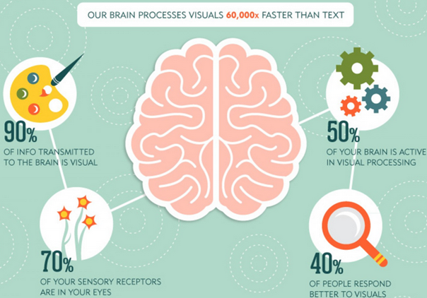 how brain works