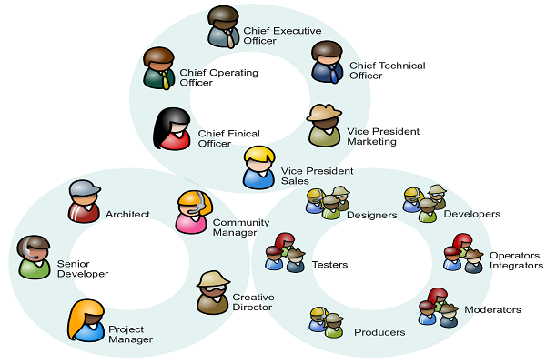 Organisation and Structure