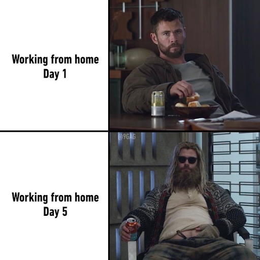 work from home memes